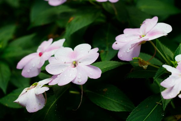 Quel ventilateur de plafond choisir pour votre espace idéal ?