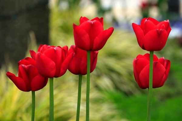 Serrurier vincennes : service d'urgence 24h/24, 7j/7